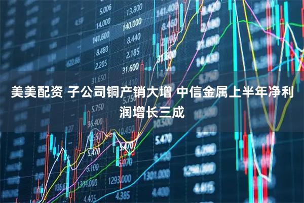美美配资 子公司铜产销大增 中信金属上半年净利润增长三成