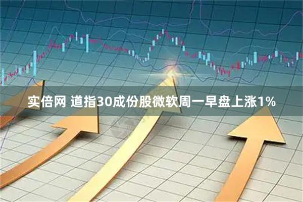 实倍网 道指30成份股微软周一早盘上涨1%