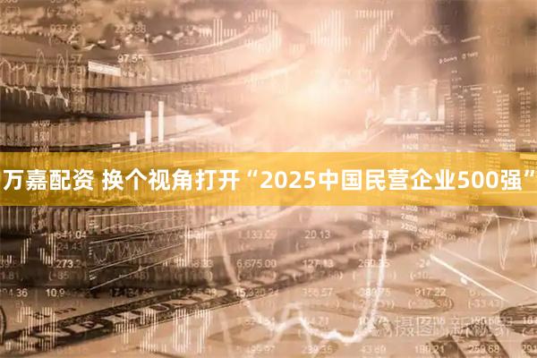 万嘉配资 换个视角打开“2025中国民营企业500强”