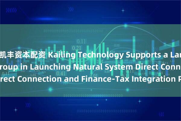 凯丰资本配资 Kailing Technology Supports a Large Multinational Group in Launching Natural System Direct Connection and Finance-Tax Integration Project_搜狐网
