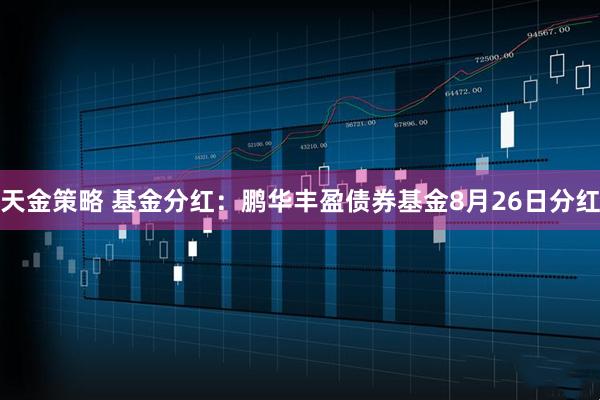 天金策略 基金分红：鹏华丰盈债券基金8月26日分红