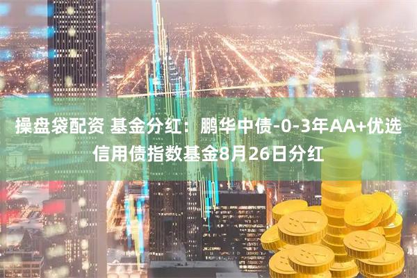 操盘袋配资 基金分红：鹏华中债-0-3年AA+优选信用债指数基金8月26日分红