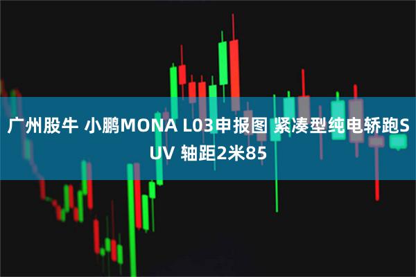 广州股牛 小鹏MONA L03申报图 紧凑型纯电轿跑SUV 轴距2米85